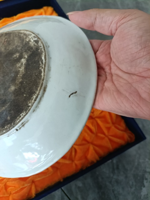 古玩陶瓷民國粉彩大吉大利盤拍賣，當前價格3888元