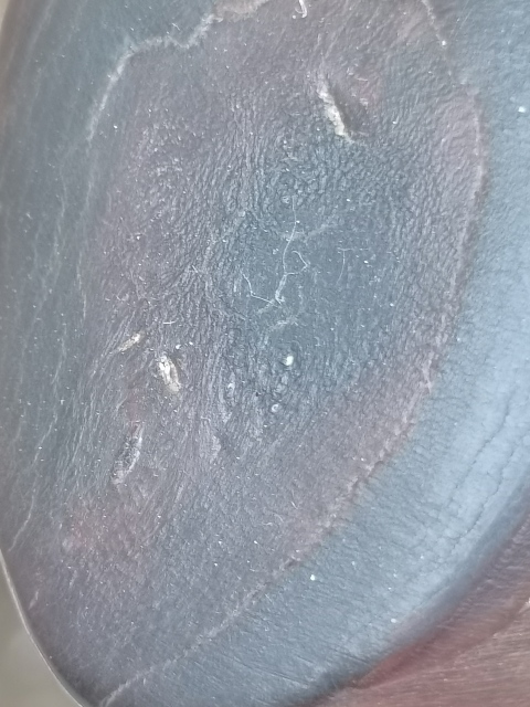 古玩雜項角質立件喝酒氣也可以當擺件。拍賣，當前價格28999元