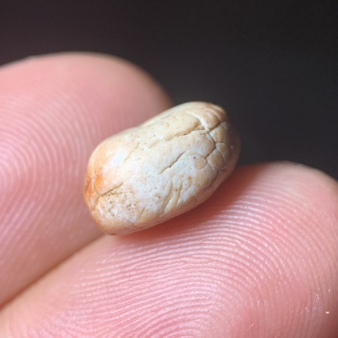 古玩玉器五代十國.扁珠子拍賣,當前價格0元