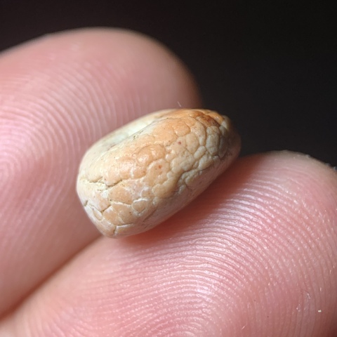古玩玉器五代十國.扁珠子拍賣,當前價格0元