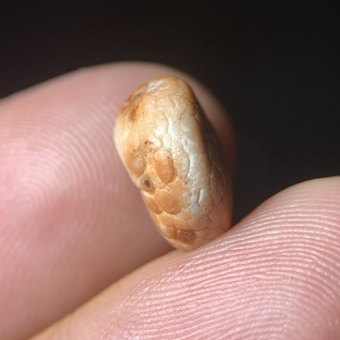 古玩玉器五代十國.扁珠子拍賣,當前價格0元