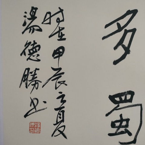古玩字畫蘭亭獎獲得者湯德勝款魏碑書法斗方拍賣,當前價格60元