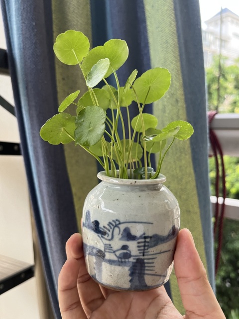 古玩陶瓷清晚期青花山水人物紋水盂拍賣,當(dāng)前價格399元