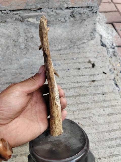 古玩雜項動物角雕件拍賣,當前價格888元