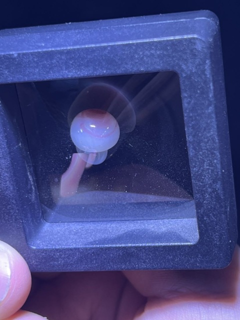 古玩玉器清代.琉璃扣子拍賣，當前價格0元