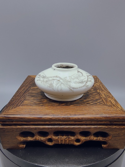 古玩陶瓷晚清精品?白釉刻瓷仕女人物碟形水盂拍賣，當(dāng)前價(jià)格2800元