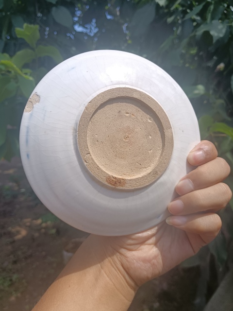 古玩陶瓷清晚期～青花彩繪花卉紋盤拍賣，當前價格128元