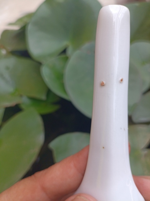 古玩陶瓷粉彩花卉壽字勺拍賣，當前價格188元