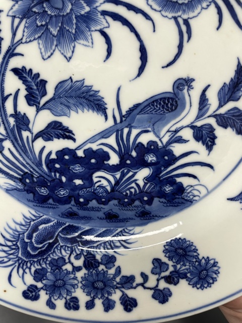 古玩陶瓷清·康熙 青花錦雞牡丹紋折沿盤拍賣,當前價格2800元