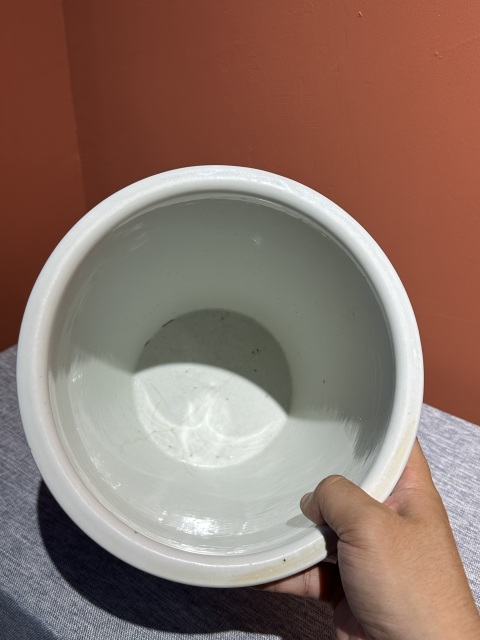 古玩陶瓷清代光緒綠地粉彩花鳥紋蘭花盆拍賣，當前價格35800元