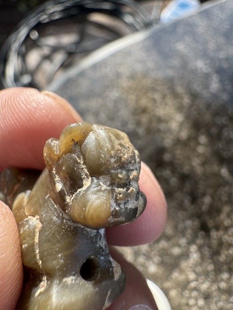 古玩雜項夏代，雙獸頭鈕印（珠博入盒）拍賣，當前價格11000元