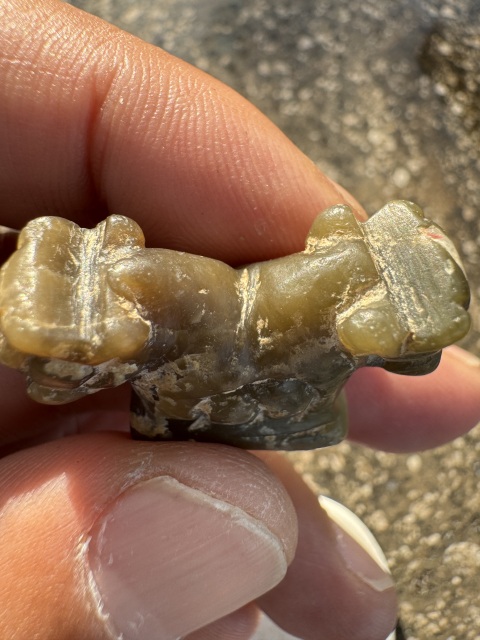 古玩雜項夏代，雙獸頭鈕印（珠博入盒）拍賣，當前價格11000元