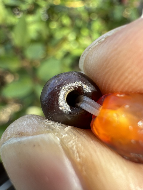 古玩雜項(xiàng)多寶手串（已鑒真）拍賣，當(dāng)前價(jià)格2800元