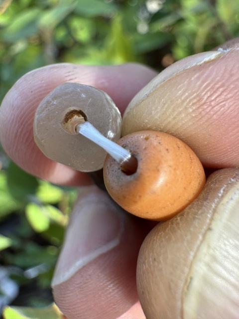 古玩雜項(xiàng)多寶手串（已鑒真）拍賣，當(dāng)前價(jià)格2800元