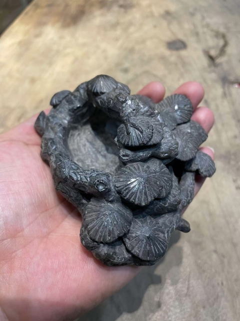古玩玉器煤晶石雕“筆洗”拍賣，當前價格3700元