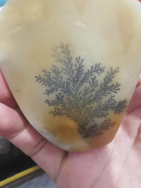 古玩玉器巴林石,水草花觀賞石擺件拍賣,當前價格555元