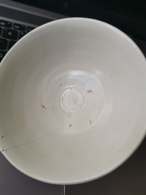 古玩陶瓷宋代河南窯口，白釉斗笠碗拍賣，當前價格1333元