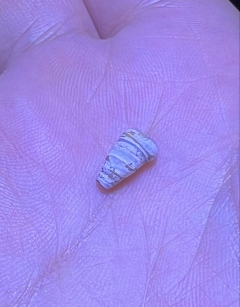 古玩玉器漢代.寶螺型琉璃珠 (稀有,滿灰皮)拍賣，當前價格0元