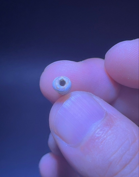 古玩玉器漢代.寶螺型琉璃珠 (稀有,滿灰皮)拍賣，當前價格0元