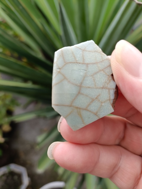 古玩陶瓷南宋五大名窯之一哥窯[官]標本拍賣，當前價格998元
