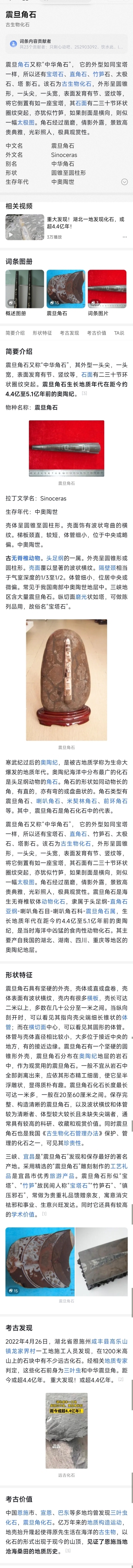 古玩雜項遠古生物hua石《角石》,可做吊墜掛件拍賣,當前價格999元