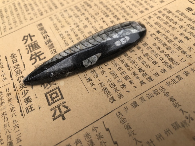 古玩雜項遠古生物hua石《角石》,可做吊墜掛件拍賣,當前價格999元