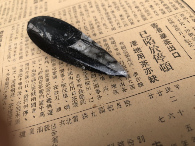 古玩雜項遠古生物hua石《角石》,可做吊墜掛件拍賣,當前價格999元