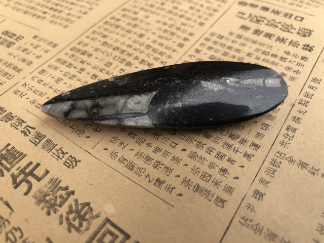 古玩雜項遠古生物hua石《角石》,可做吊墜掛件拍賣,當前價格999元