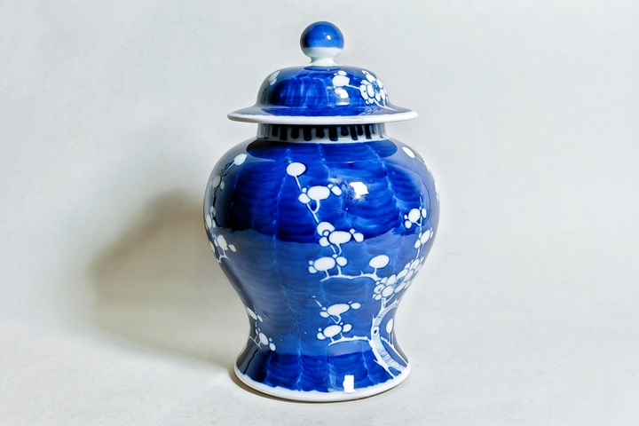 古玩陶瓷民國·青花留白冰梅紋將軍罐真品鑒賞圖