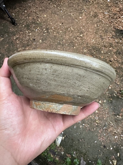 古玩陶瓷龍泉窯系唇口碗拍賣，當前價格300元