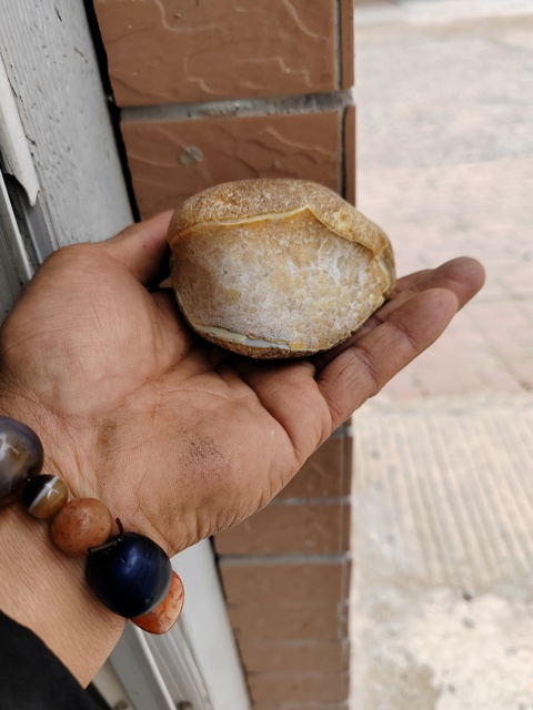 古玩玉器奇石金蟾天然瑪瑙原石拍賣(mài),當(dāng)前價(jià)格788元