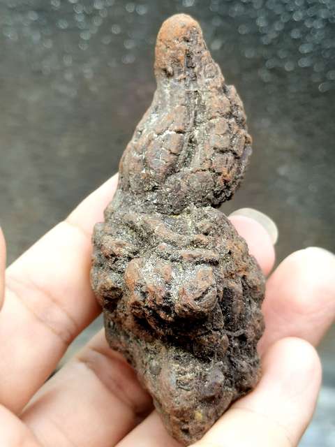 古玩雜項恐龍糞便hua石 (hua石類藏品的天花板)拍賣,當前價格0元
