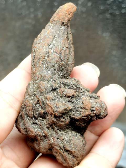 古玩雜項恐龍糞便hua石 (hua石類藏品的天花板)拍賣,當前價格0元