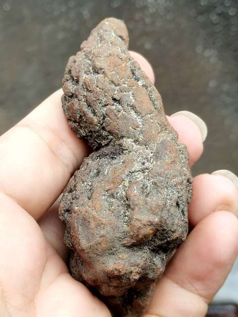 古玩雜項恐龍糞便hua石 (hua石類藏品的天花板)拍賣,當前價格0元