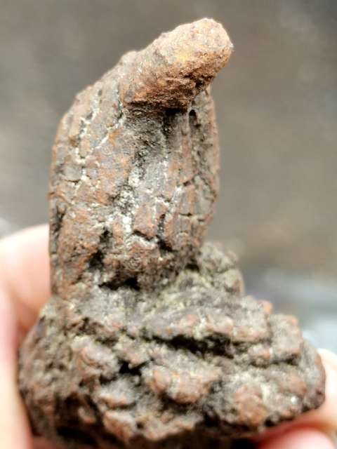 古玩雜項恐龍糞便hua石 (hua石類藏品的天花板)拍賣,當前價格0元