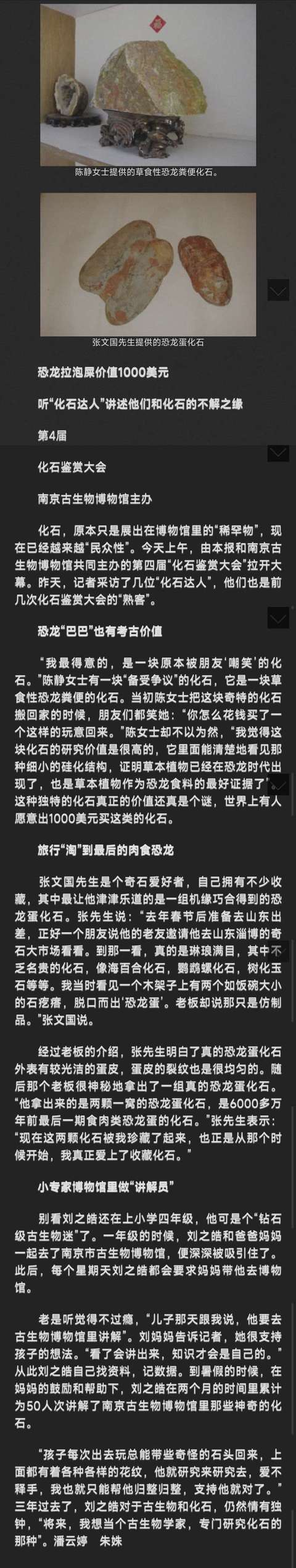 古玩雜項恐龍糞便hua石 (hua石類藏品的天花板)拍賣,當前價格0元