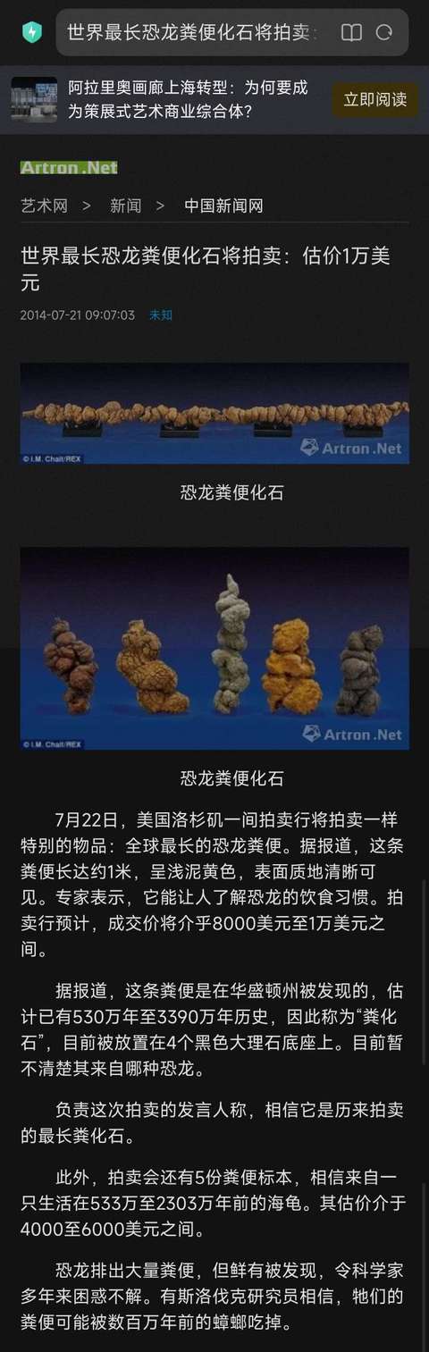古玩雜項恐龍糞便hua石 (hua石類藏品的天花板)拍賣,當前價格0元