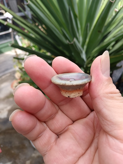 古玩陶瓷館藏級鈞窯青釉紫斑蓋拍賣,當前價格980元