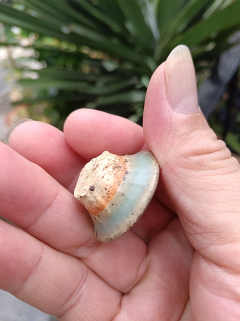 古玩陶瓷館藏級鈞窯青釉紫斑蓋拍賣,當前價格980元
