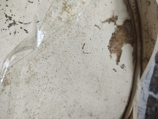 古玩陶瓷定窯白釉刻花瓷枕標(biāo)本拍賣，當(dāng)前價(jià)格1800元