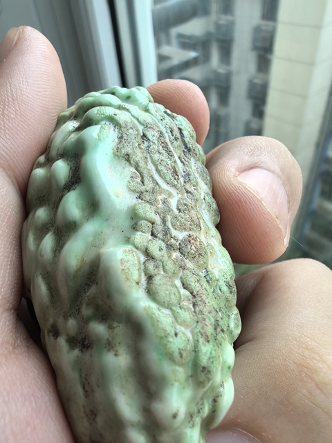 古玩陶瓷晚清同治綠釉癩瓜擺件拍賣(mài),當(dāng)前價(jià)格580元