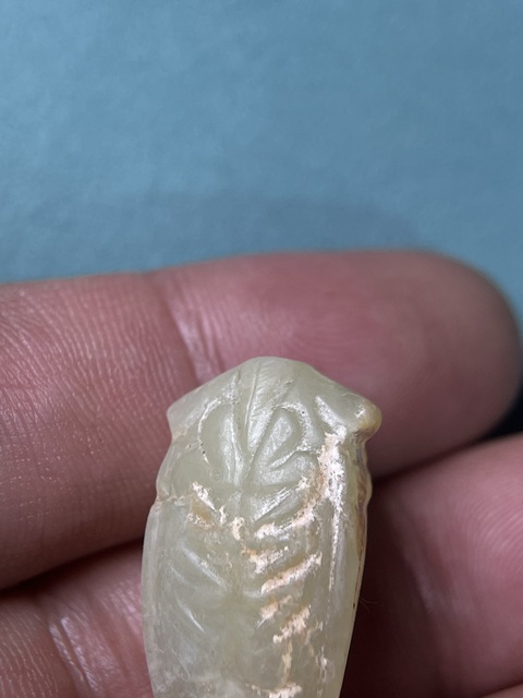 古玩玉器漢代玉蟬拍賣,當(dāng)前價(jià)格26800元