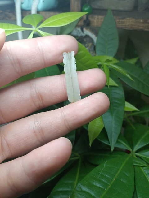 古玩玉器清代和田玉蟬拍賣，當前價格130元