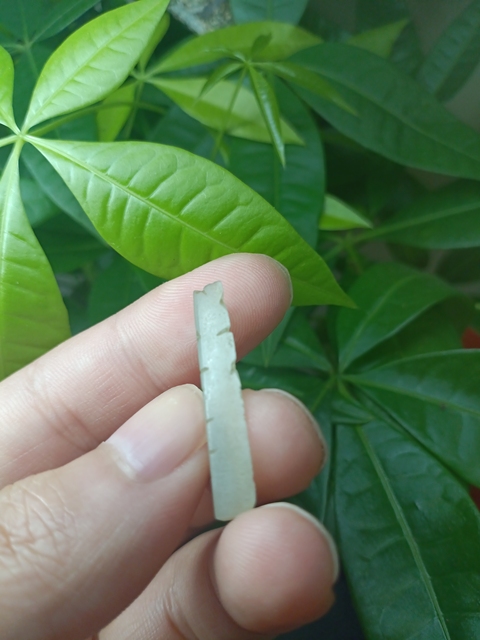 古玩玉器清代和田玉蟬拍賣，當前價格130元