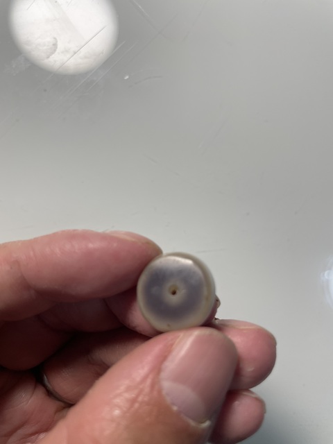 古玩雜項珠子拍賣,當前價格500元