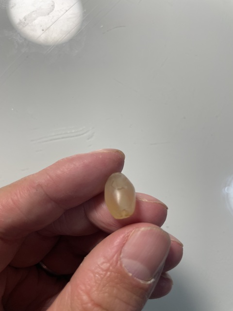 古玩雜項珠子拍賣,當前價格500元