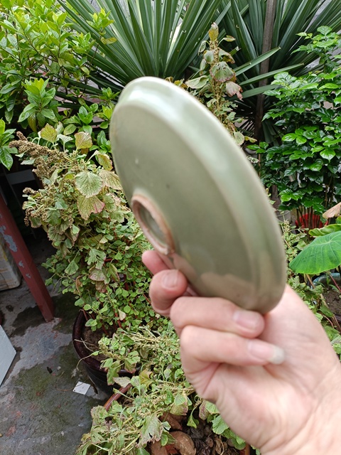 古玩陶瓷館藏級宋元龍泉青釉露胎刻花牡丹洗拍賣,當前價格5980元