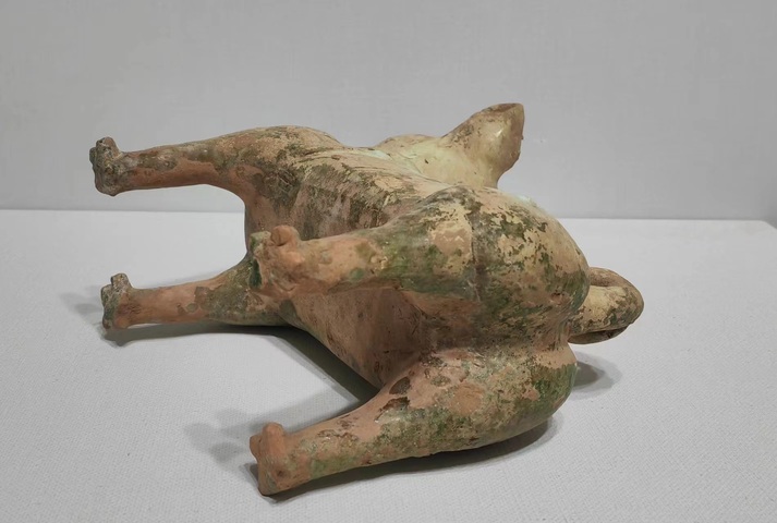 古玩陶瓷斗牛犬拍賣,當前價格30000元