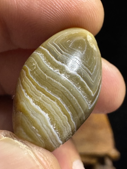 古玩玉器漢、橄欖珠（珠博認證）拍賣，當前價格3900元