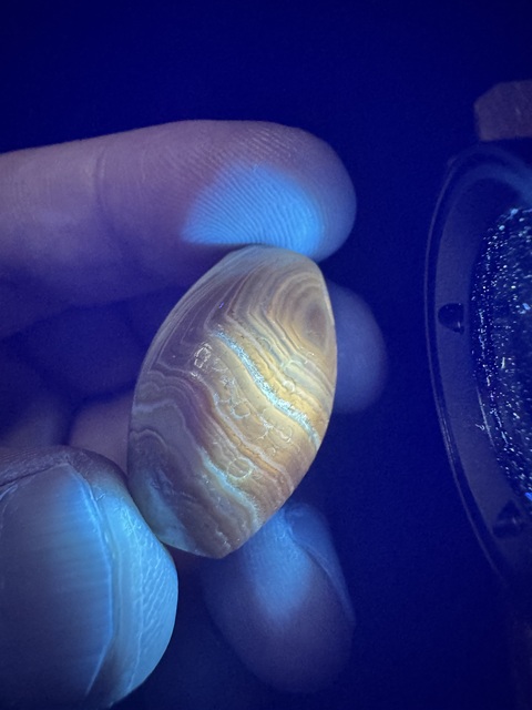 古玩玉器漢、橄欖珠（珠博認證）拍賣，當前價格3900元